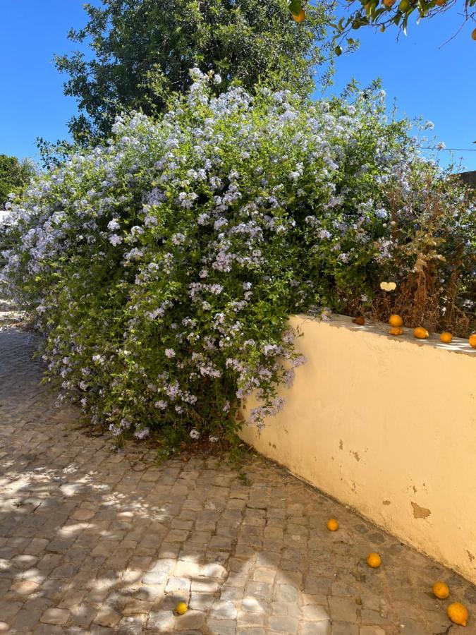 Quinta Da Layla Βίλα Olhão Εξωτερικό φωτογραφία