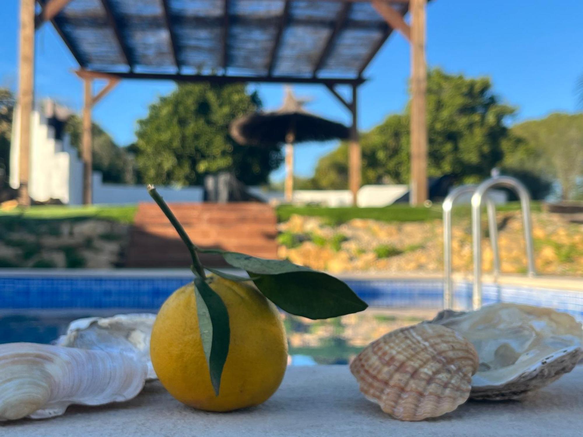 Quinta Da Layla Βίλα Olhão Εξωτερικό φωτογραφία